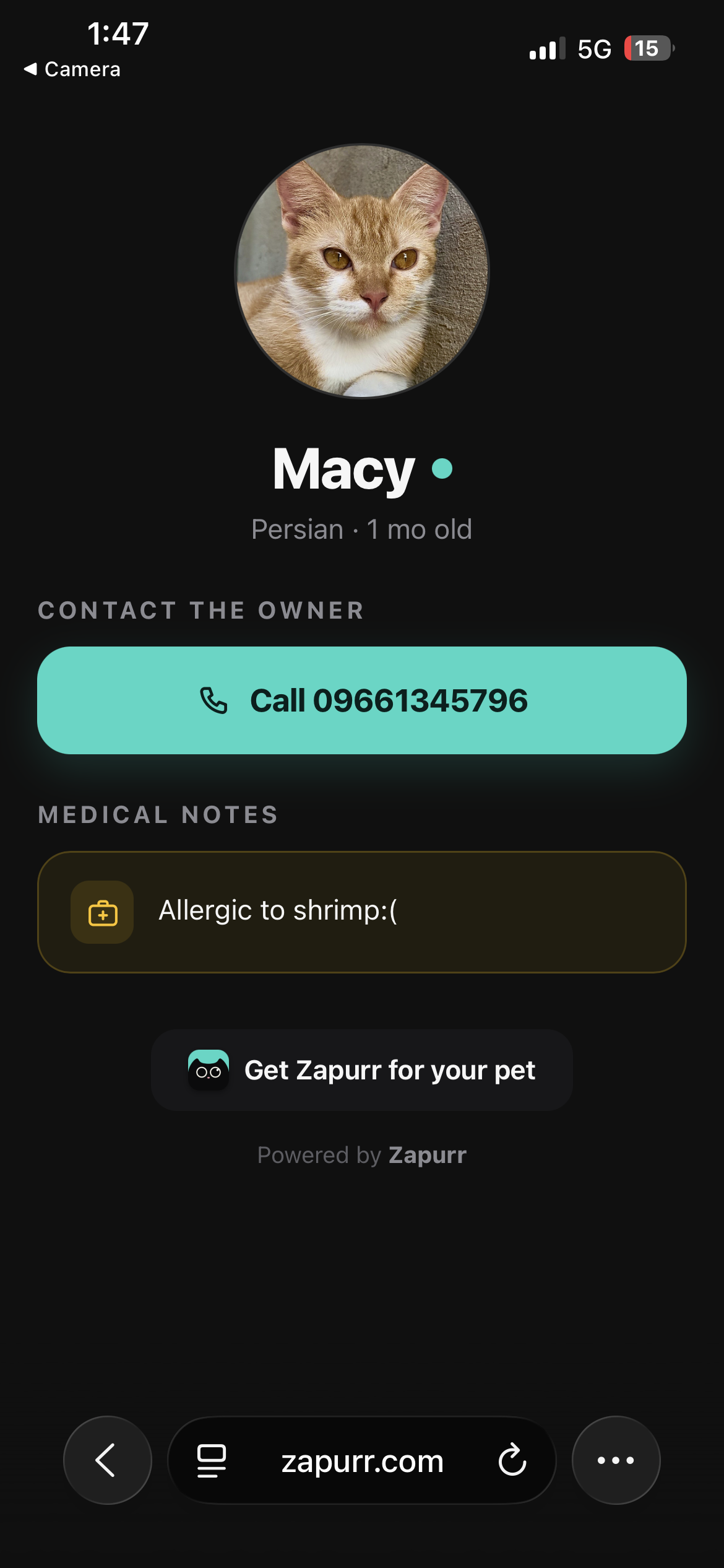 What a scanner sees — Macy's page in the browser, no app needed